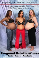 Три беременные девушки из порно бизнеса